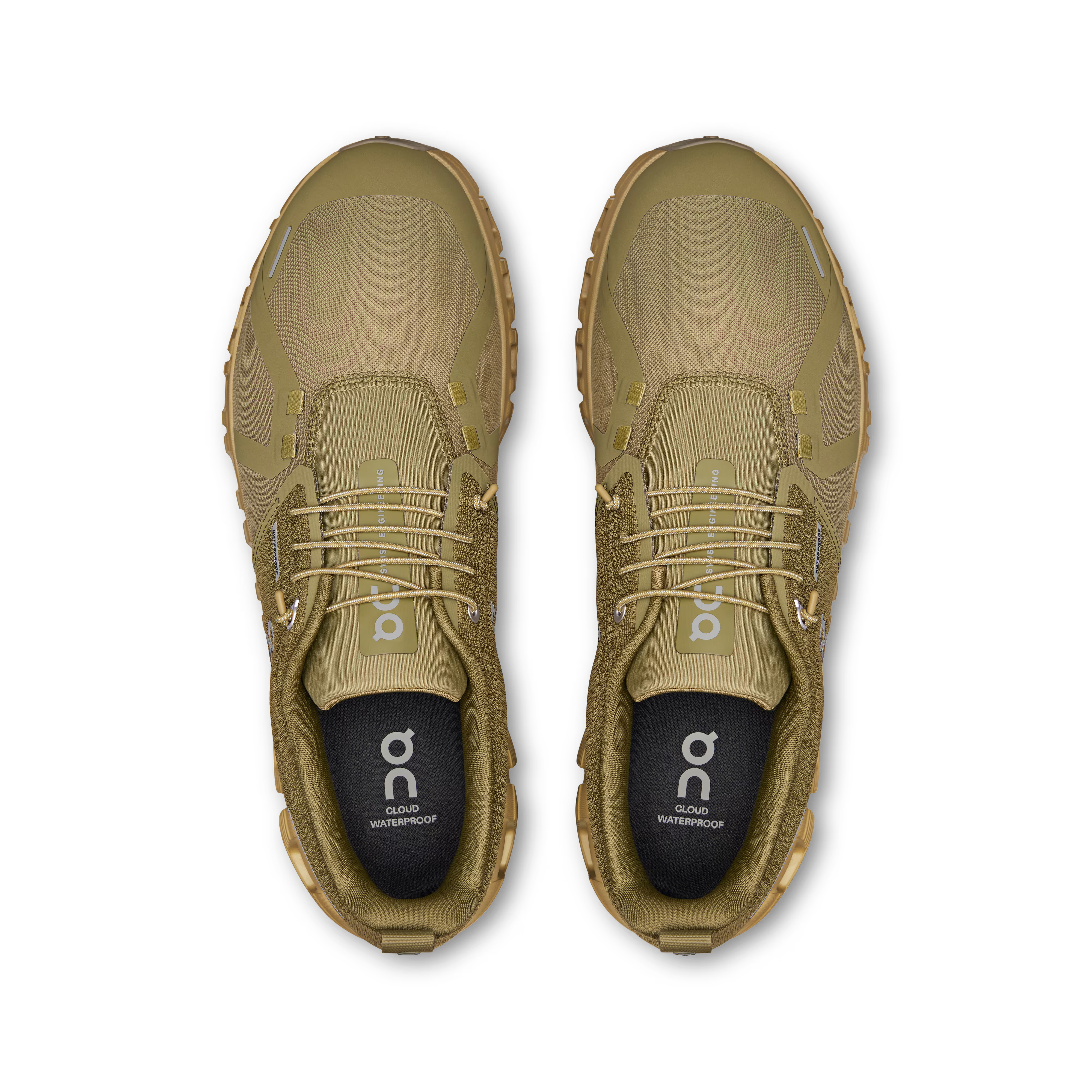 Cloud 6 WP Olive / Safari